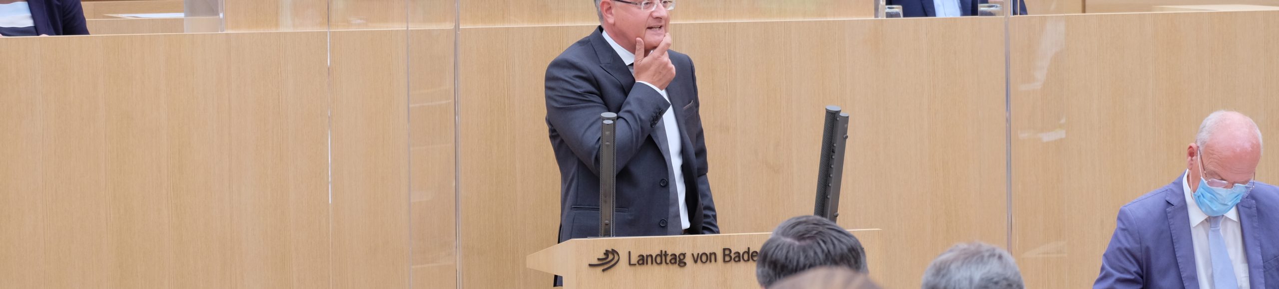 andi landtag