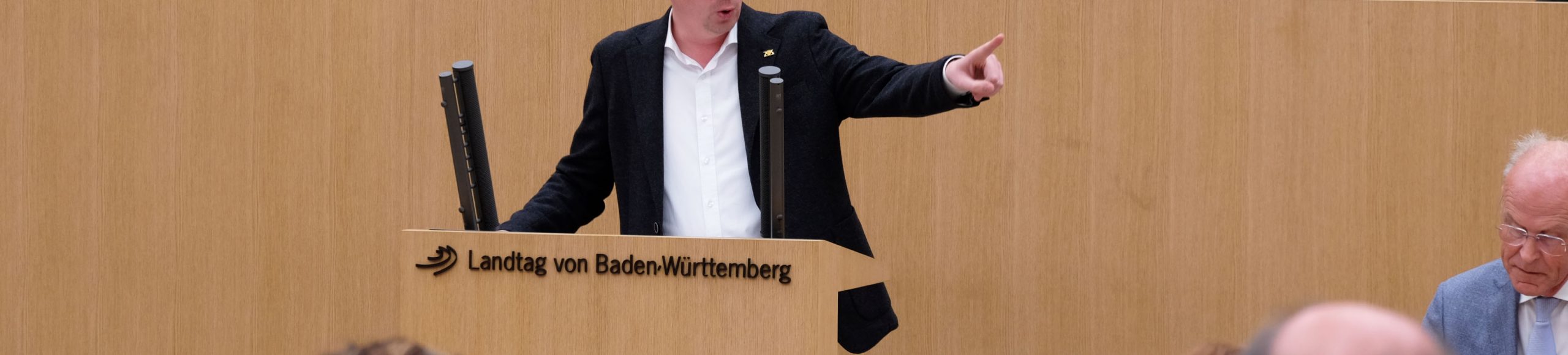 Jonas Weber Landtagswahlgesetz