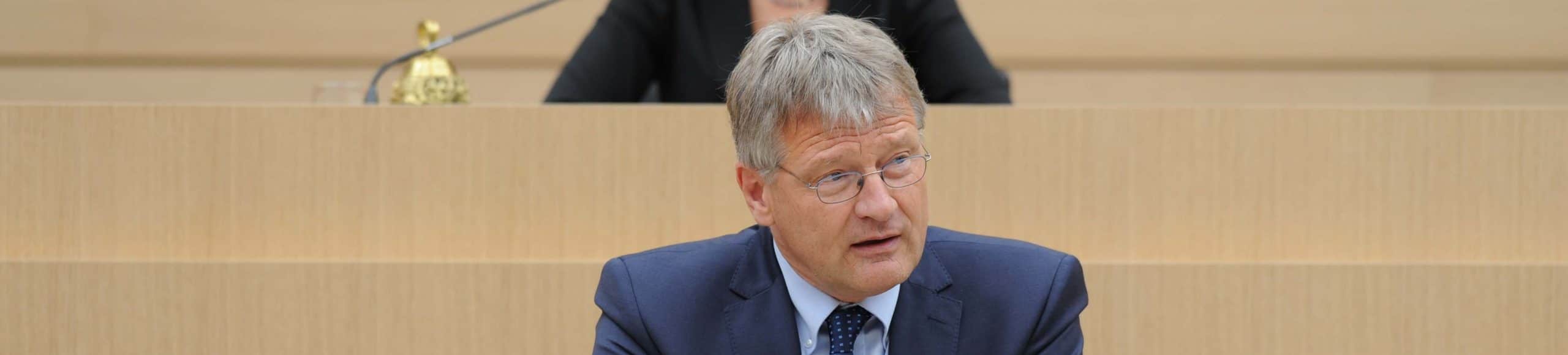 AfD Meuthen MdL LTBW