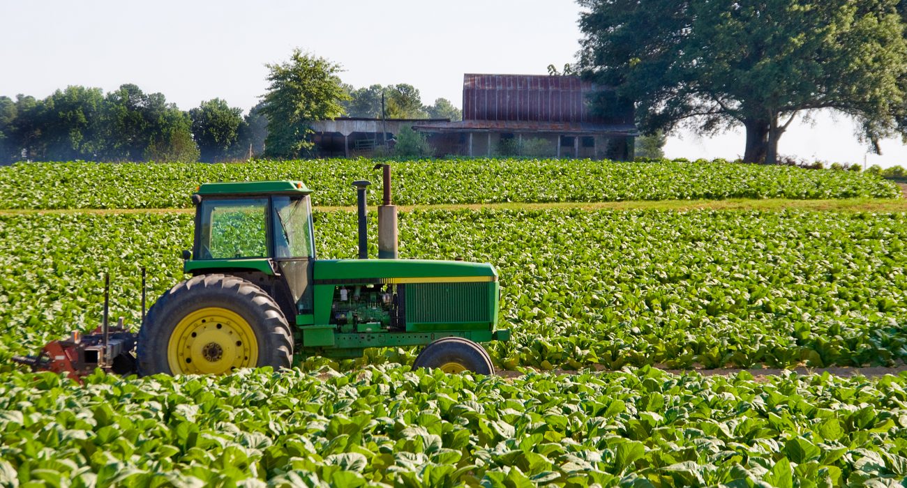 Landwirtschaft